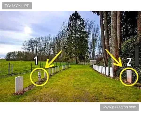 28岁邻居的秘密，她真的只是一间房吗？剧情解析让人毛骨悚然